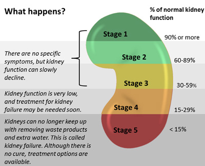 Stem Cells for Chronic Kidney Disease