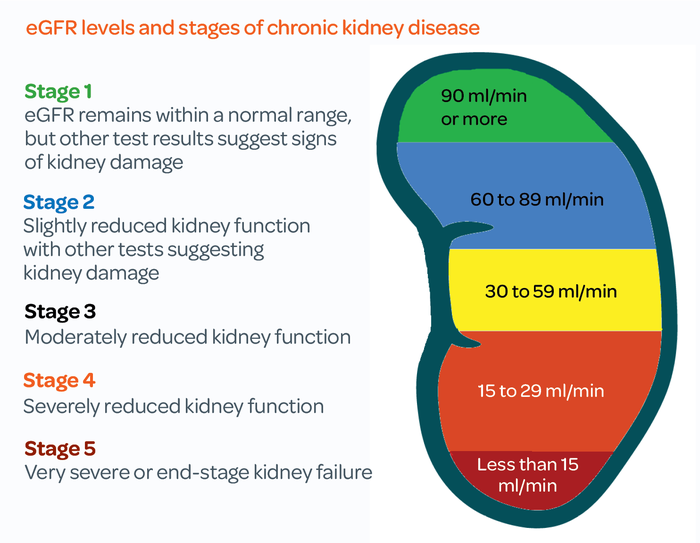 Targeted stem cells for chronic kidney disease Malaysia renal function review