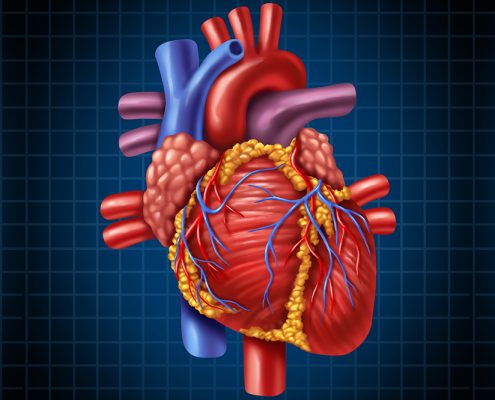 Stem Cell Therapy for Heart Failure