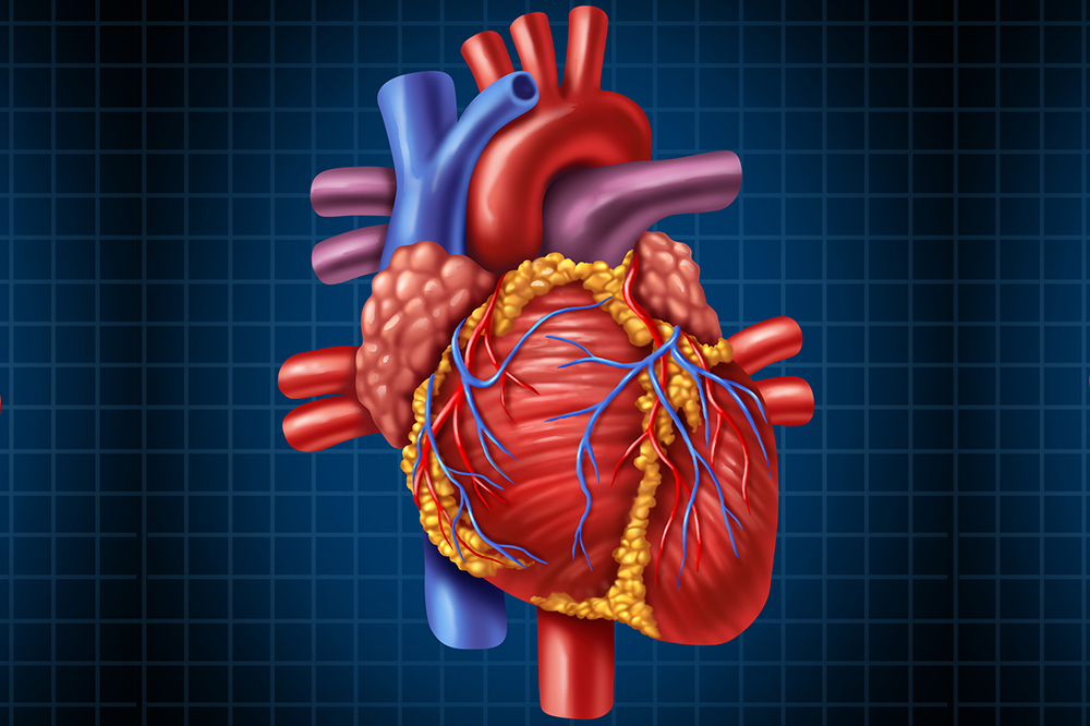 Stem Cell Therapy for Heart Failure
