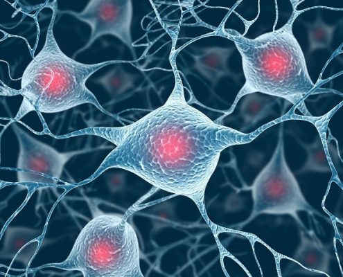 Klotho Gene Therapy