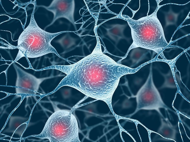 Follistatin gene therapy Malaysia myostatin pathway and longevity performance review