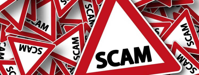 stem cell scam