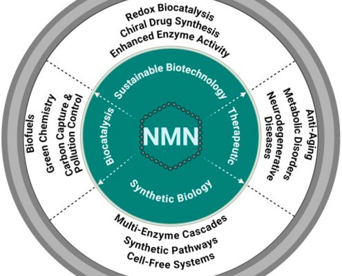 Japan nmn iv therapy