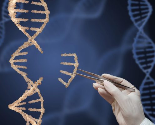 Klotho Gene Therapy