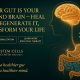 Gut Health