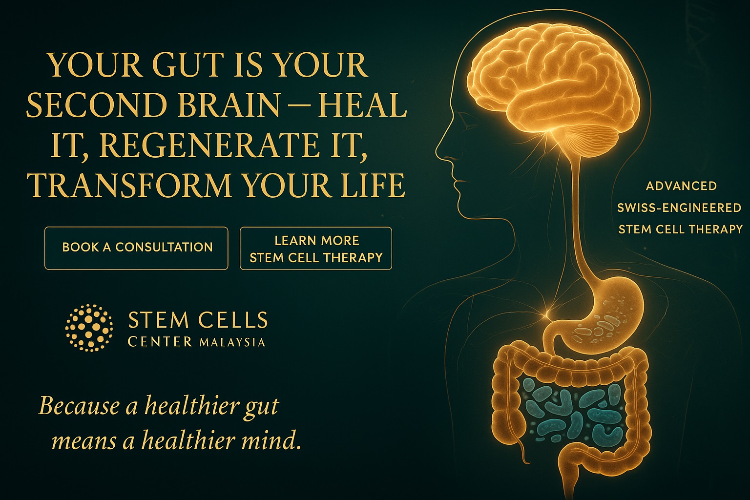 Gut Health