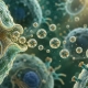 Conceptual illustration of extracellular vesicles and cellular communication